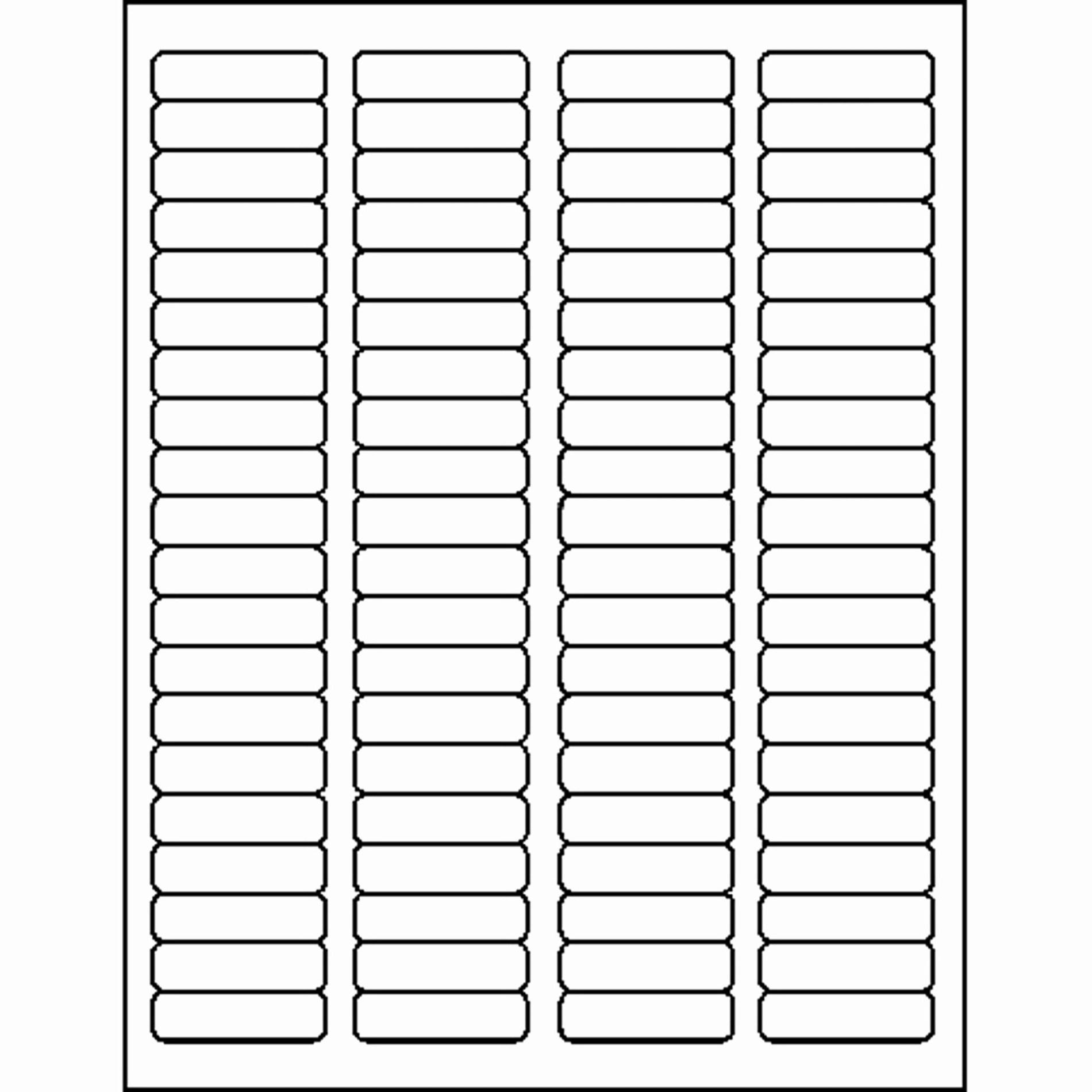 blank avery return address labels template sample