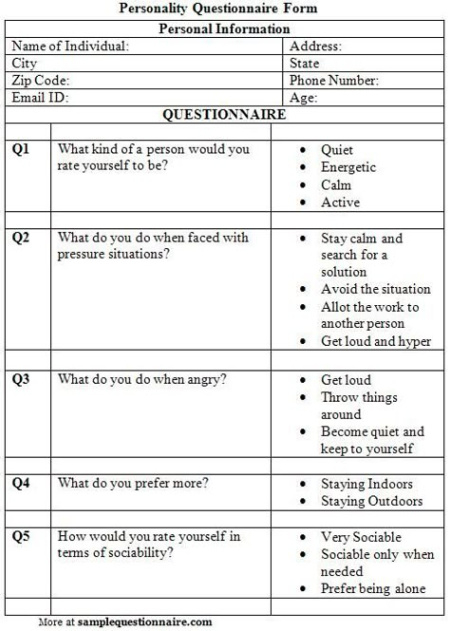 printable 12 sample questionnaires ideas  questionnaire helping people candidate personal stylist questionnaire template doc